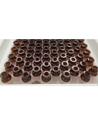 ISO 2R Amber Open Sterile Vials, RTU Nested Tray in Tub, Tray of 100